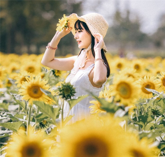 秋葵视频向日葵视频草莓视频榴莲视频丝瓜视频截图