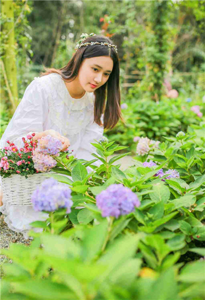 丝瓜向日葵茄子黄瓜草莓芭乐榴莲绿巨人截图