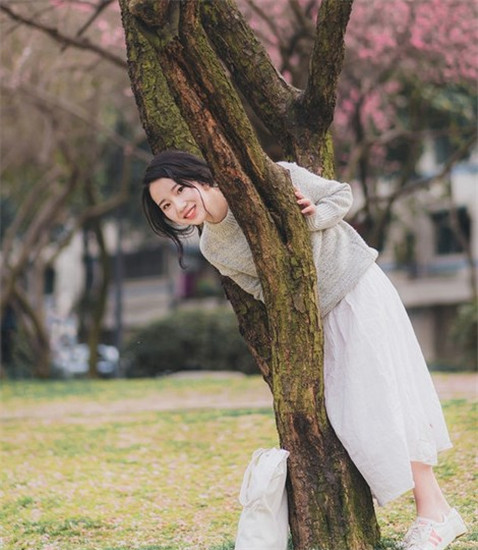 向日葵视频在线看污版截图