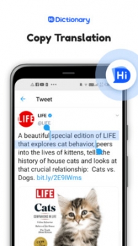 Hi Dictionary最新版截图
