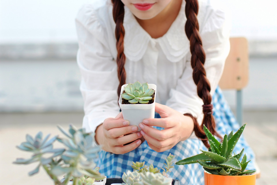 汅api免费版大全免费下载苹果截图